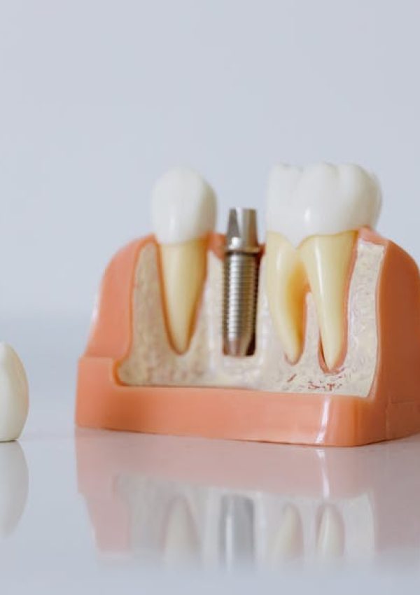 pexels-cottonbro-6502343 (2)